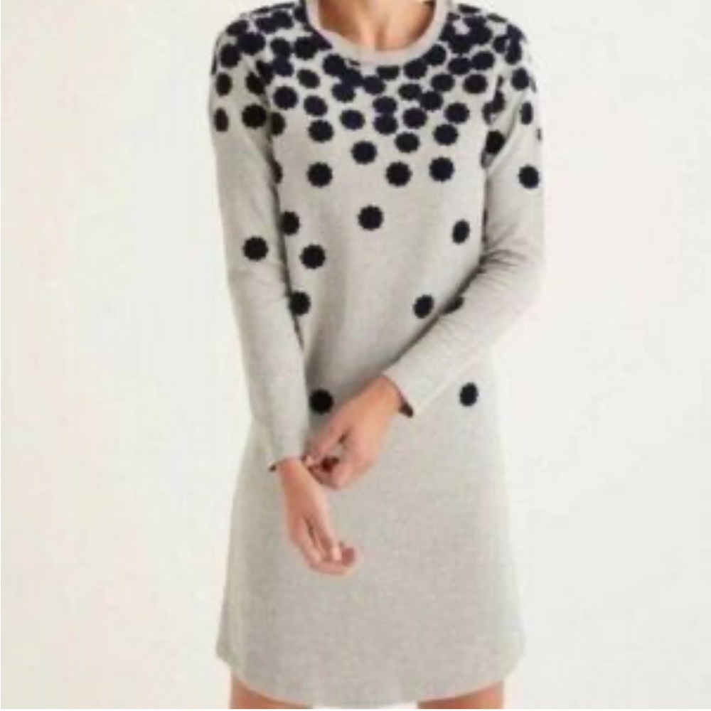 Boden Velvet Floral Dotted Sweatshirt Dress Size 8R